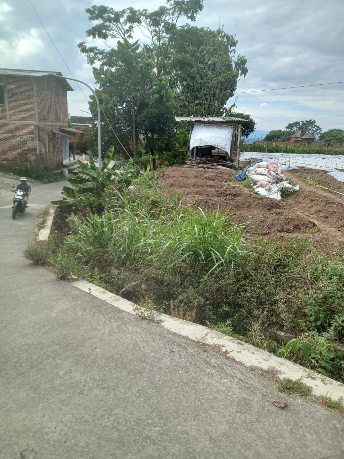 Berita